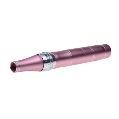 Wireless Electric Derma Pen Auto Microneedle Derma Rolling System